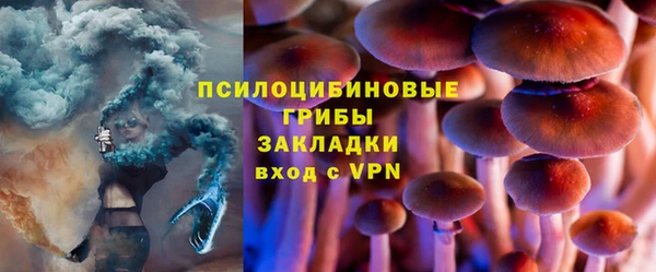 МДПВ Тобольск