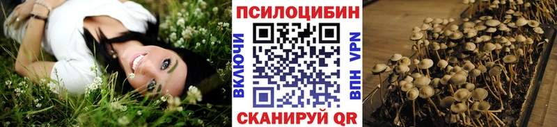 где продают наркотики  блэк спрут   Галлюциногенные грибы Psilocybine cubensis  Видное 