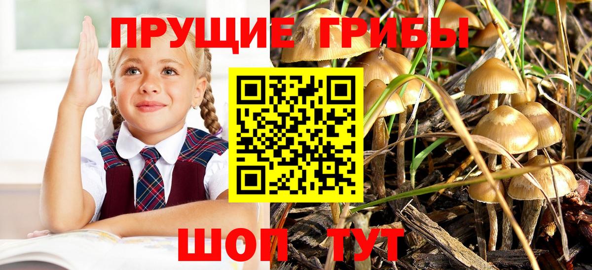 Галлюциногенные грибы GOLDEN TEACHER  Вход с VPN  Видное 