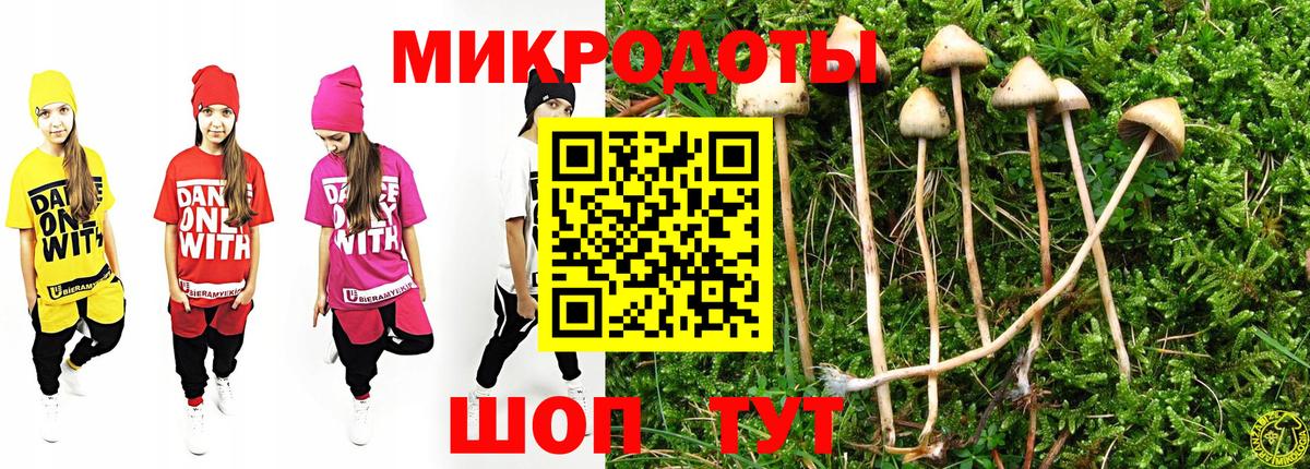 Псилоцибиновые грибы Psilocybine cubensis Видное