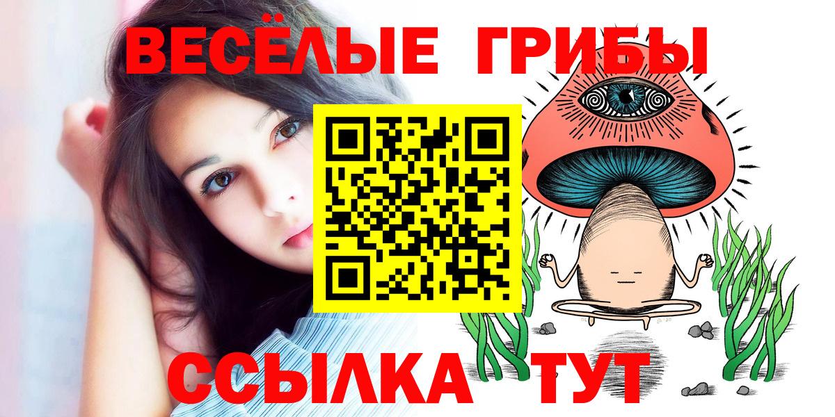 Псилоцибиновые грибы GOLDEN TEACHER  Видное 